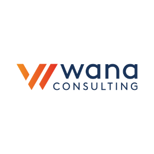 Meliorate Wana Consulting